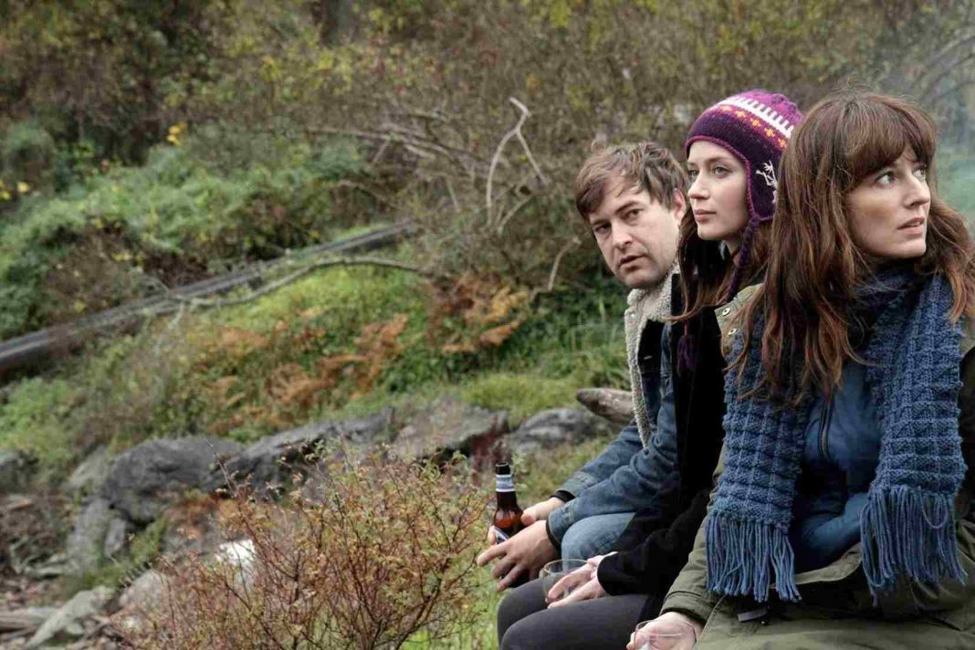 El amigo de mi hermana (Your Sister's Sister, 2011), de Lynn Shelton