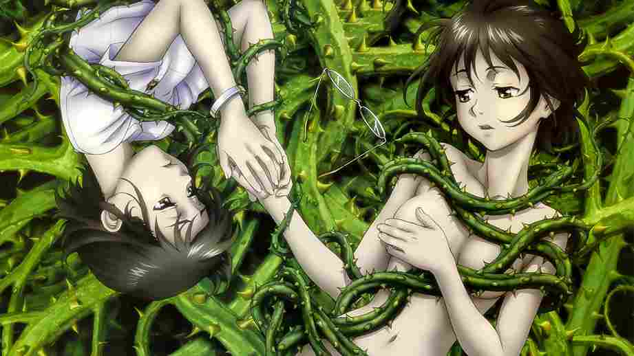 King of Thorn: El rey del espino (Ibara no Ou, 2010), de Kazuyoshi Katayama
